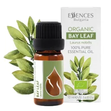 Bay leaf