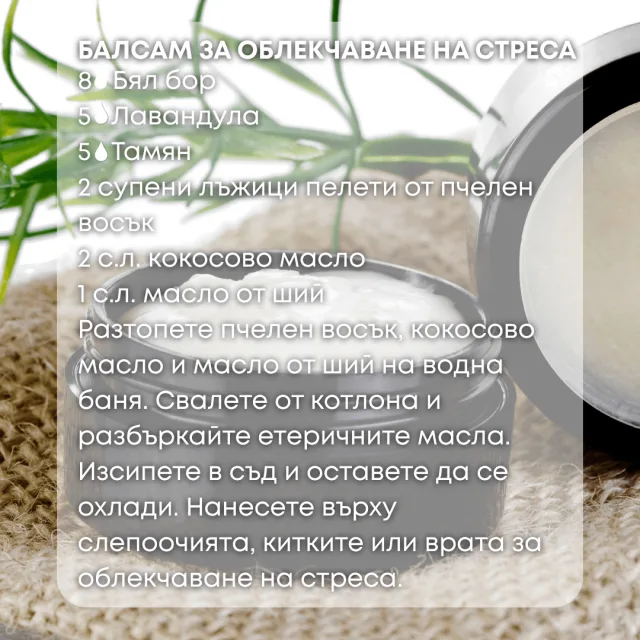 Био етерично масло Бял бор балсам за облекчаване на стреса