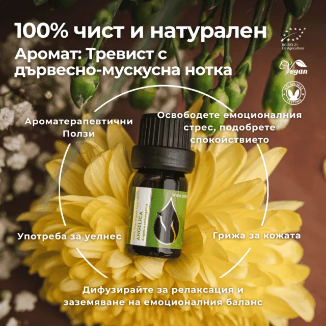 БИО Етерично масло Ангелика 2