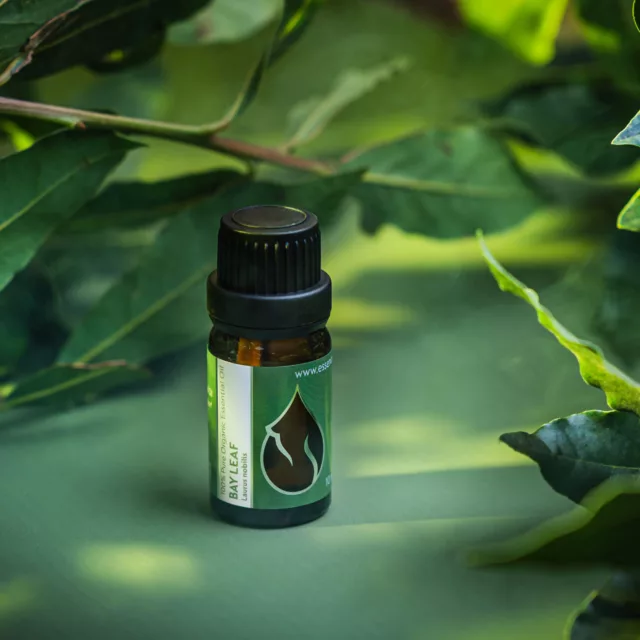 БИО Етерично масло Дафинов Лист 4