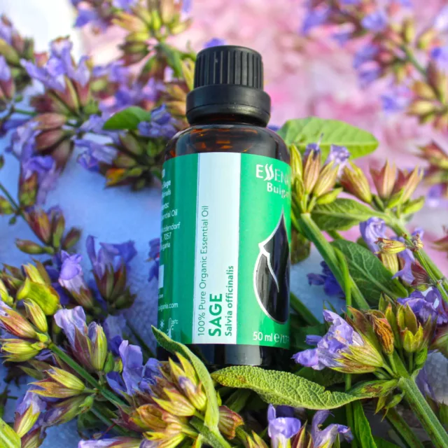 БИО Етерично масло Градински чай 14