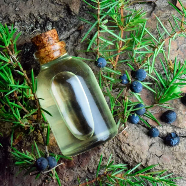 БИО Етерично масло Хвойна 8