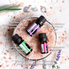 БИО Сет Дишай свободно 1