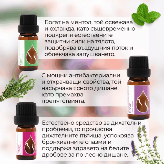 БИО Сет Дишай свободно 2