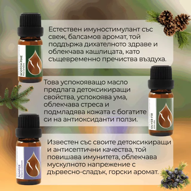 БИО Сет Горска магия 2