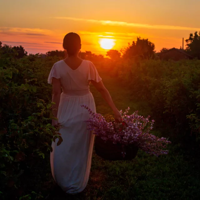 БИО Сет Против косопад 8