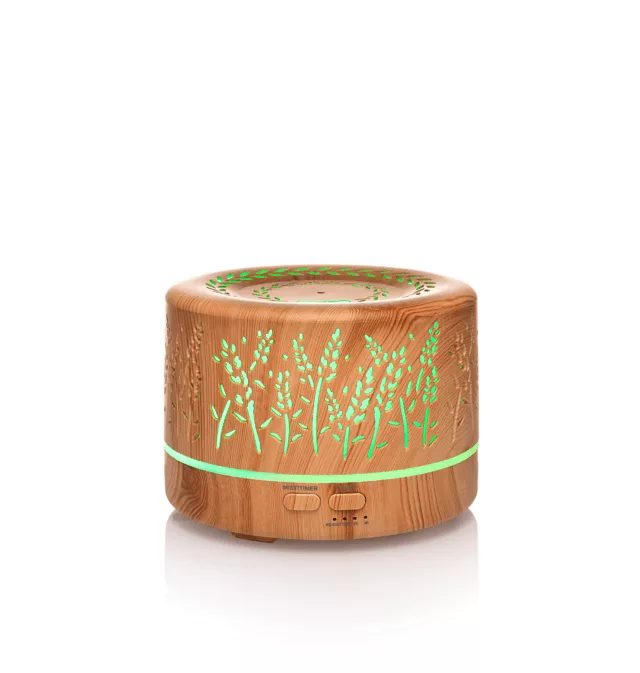 Дифузер Мечта 2