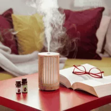 Дифузер Вдъхновение