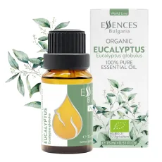 Eucalyptus