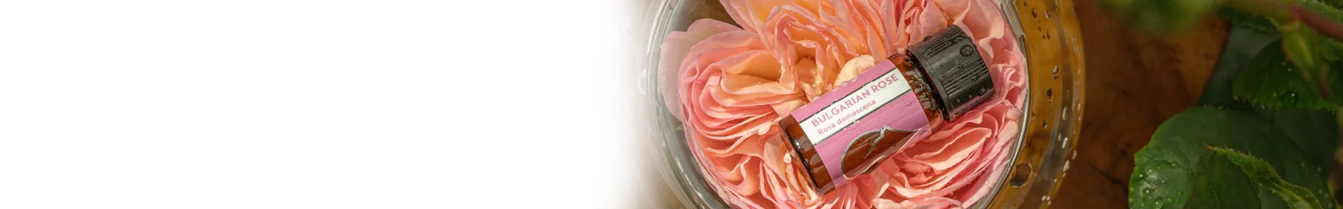 Original line website banner 1920 x 300 edit