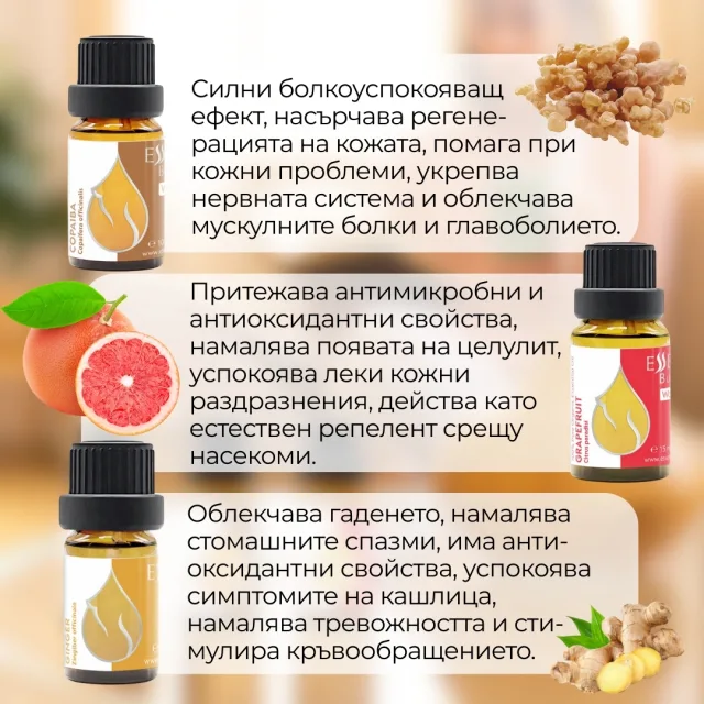 Bg fresh harmony set infographic