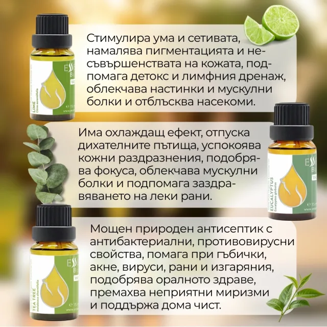 Bg morning energy set infographic