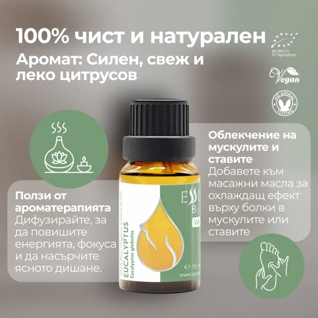 (bulgarian) en eucalyptus inf…