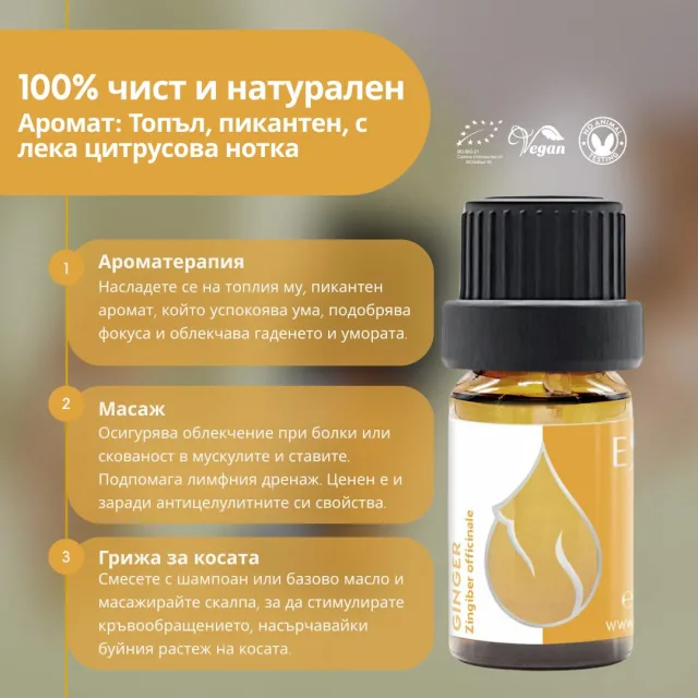 (bulgarian) en ginger infogra…