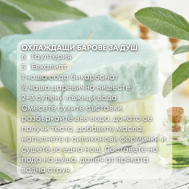 Био етерично масло Гаултерия бар за душ