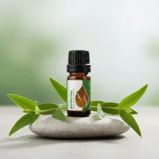 Био етерично масло от Равинтсара essences bulgaria