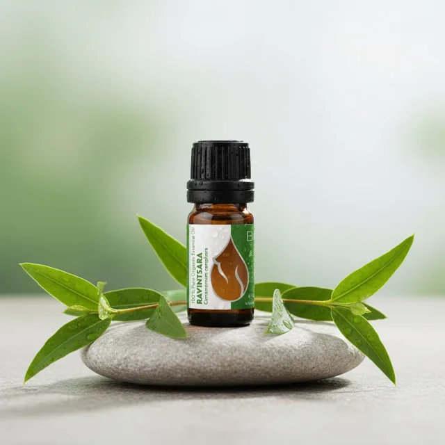 Био етерично масло от Равинтсара essences bulgaria