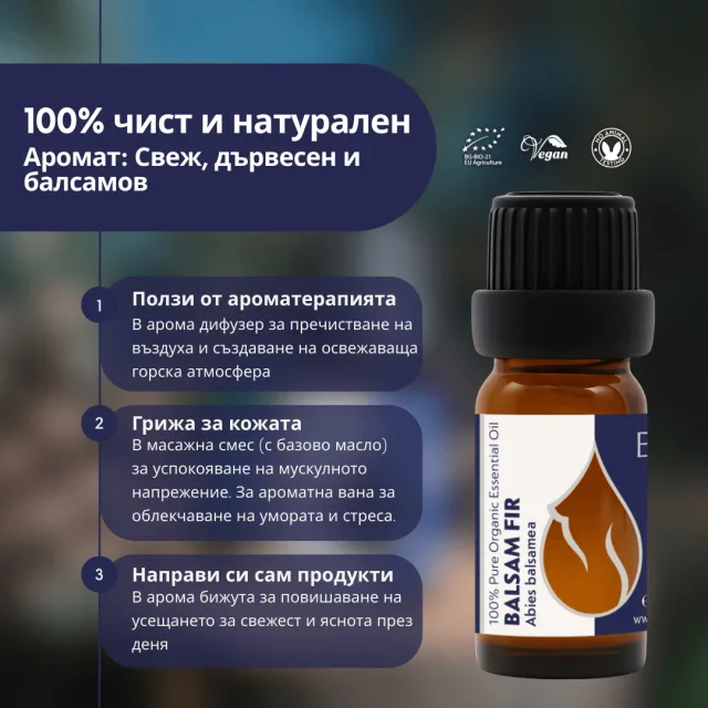 (bulgarian) balsam fir in…