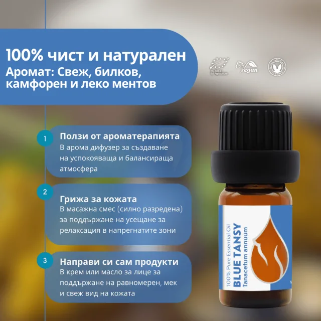 (bulgarian) blue tansy in…