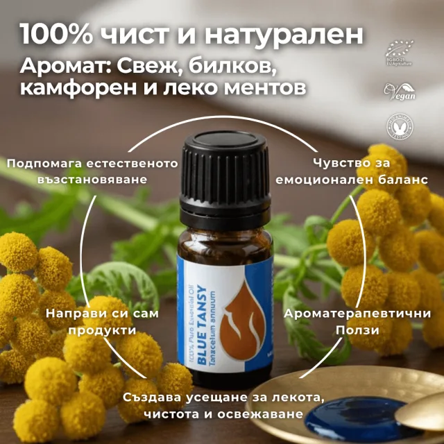 (bulgarian) blue tansy inf…