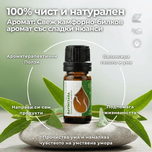 (bulgarian) ravintsara inf…