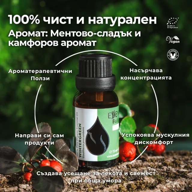 (bulgarian) wintergreen in…