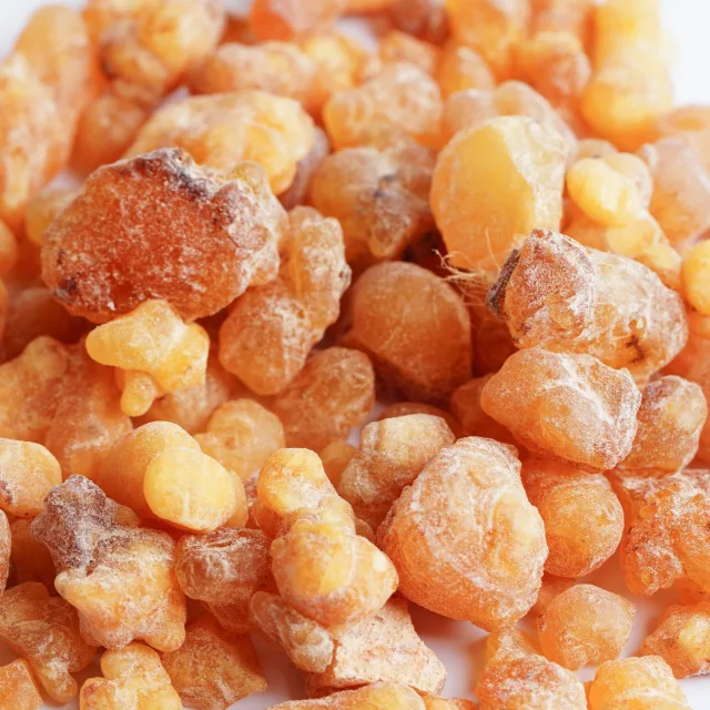 Смирна растение